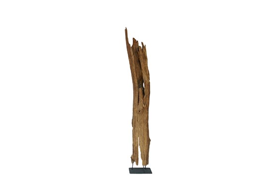 Schwemmholzwurzel 180-240 cm