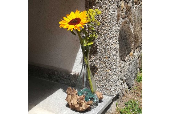 Glasvase bauchig auf Schwemmholz