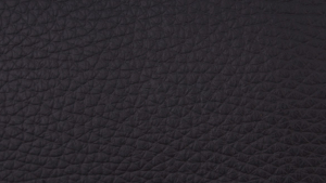 Nouvion Stuhl Tommy 4-Fuss Holz Bezug Leder Toledo Schwarz