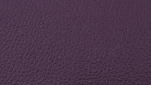 Nouvion Armstuhl Paul 4-Fuss Holz Bezug Leder Toledo Aubergine