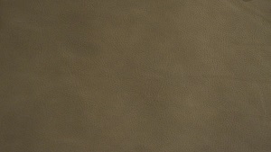 Nouvion Stuhl Lennox 4-Fuss Bezug Leder Rancho Olive