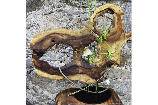 Skulptur aus Suarholz