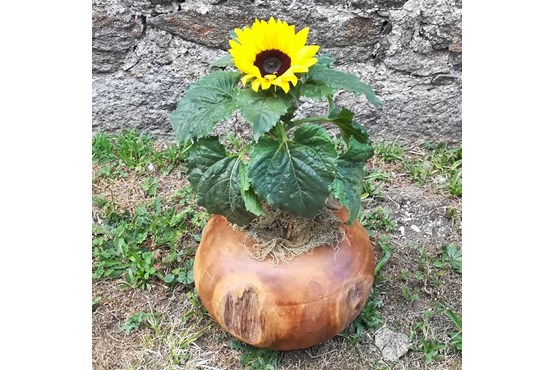 Pflanzkugel aus Holz D  20 cm