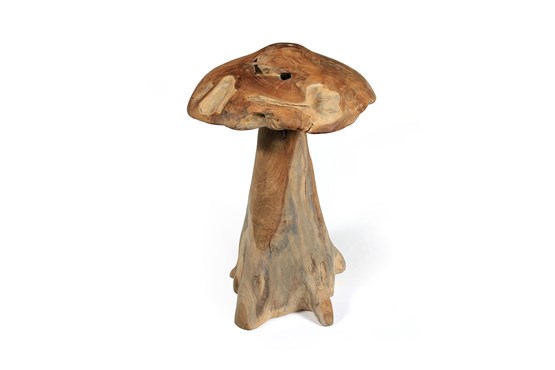 Holzpilz