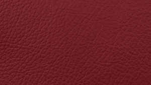 Nouvion Armstuhl Pablo 4-Fuss Bezug Leder Toledo Red