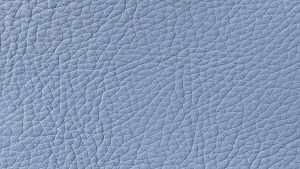 Nouvion Armstuhl Glenn mit Rollen Bezug Leder Toledo Sky Blue
