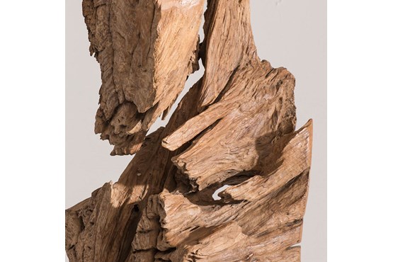 Schwemmholzwurzel 180-240 cm