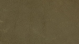 Nouvion Armstuhl Seattle mit Kufe Bezug Leder Sierra Forest